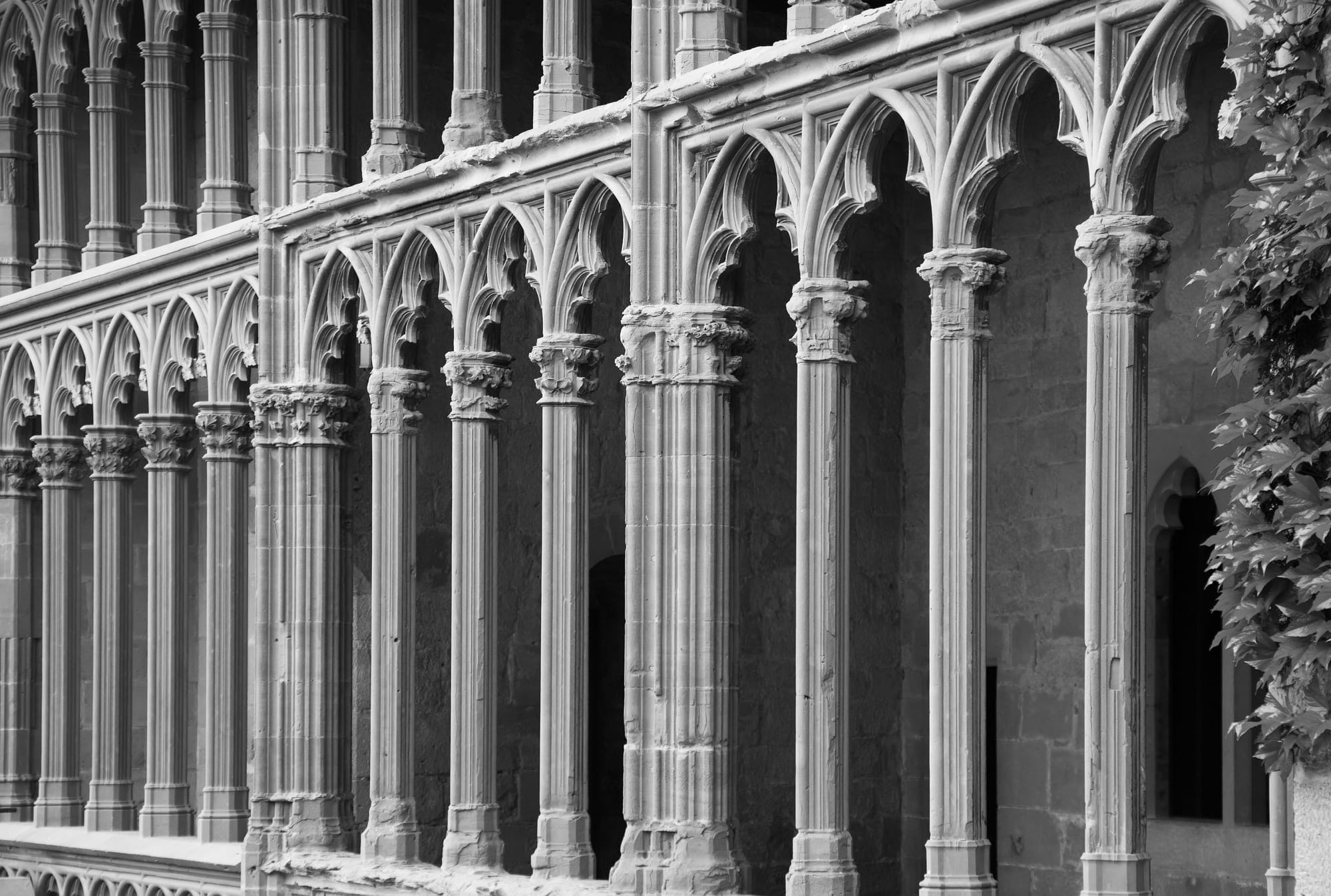 The Caliburn — image 2.1